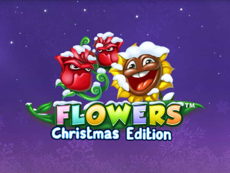 Flowers Christmas Edition